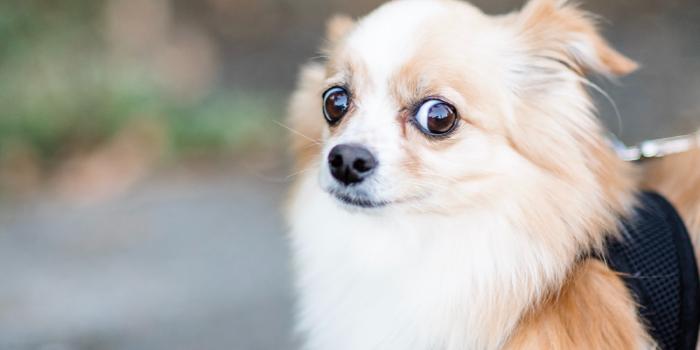 Nothing is true until proven otherwise