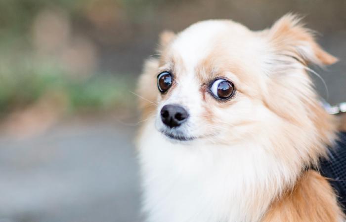 Nothing is true until proven otherwise